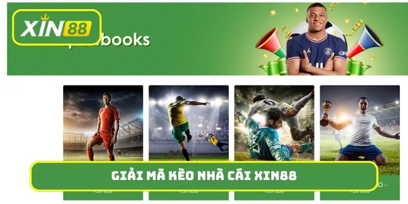 giải mã kèo nhà cái Xin88