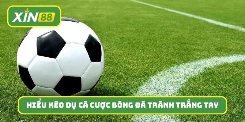 Hiểu kèo dụ trong cá cược bóng đá để tránh trắng tay