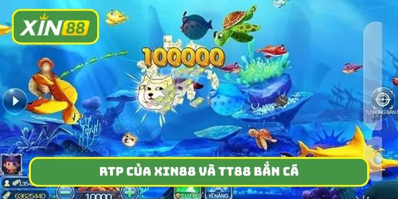 Phân tích RTP của nhà cái Xin88 và TT88 bắn cá