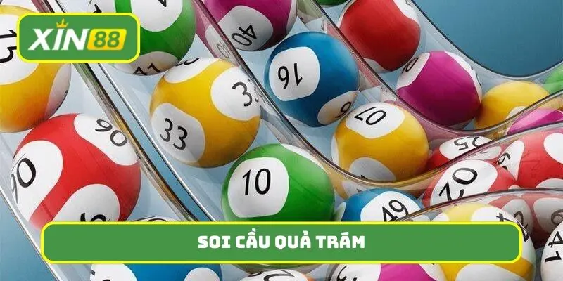 soi cầu quả trám là gì
