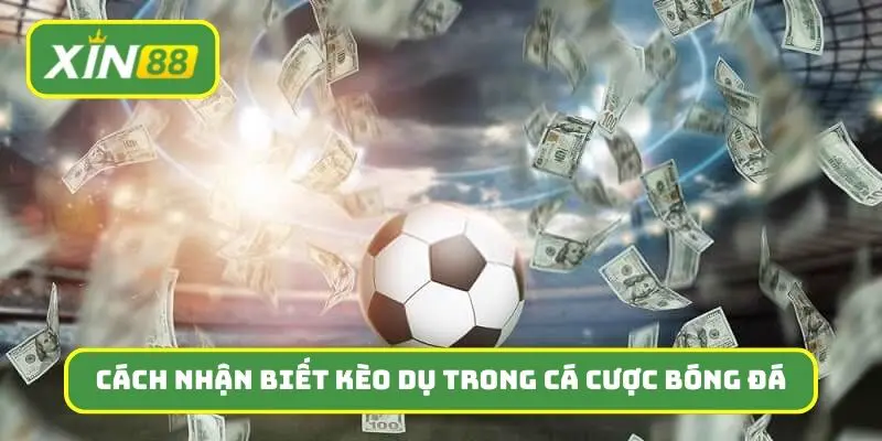 Top 3 cách nhận biết kèo dụ trong cá cược bóng đá dễ dàng nhất